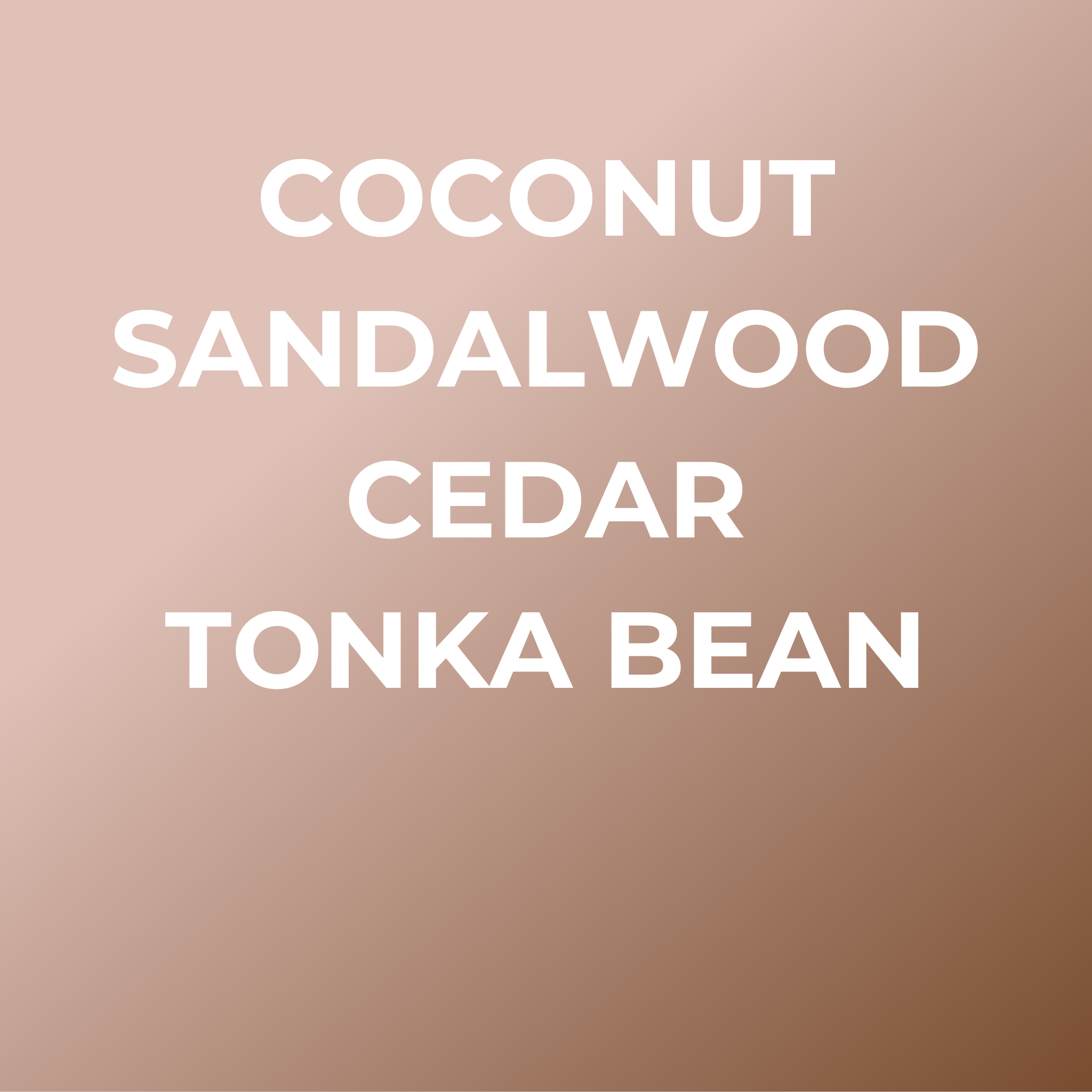 SummerCar Freshener set