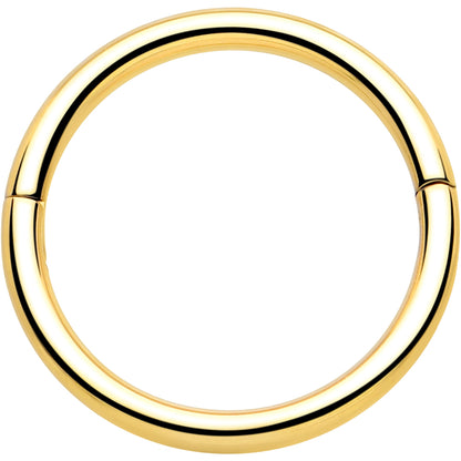 20G Implant Grade Titanium Half Closure Hinged Segment Ring