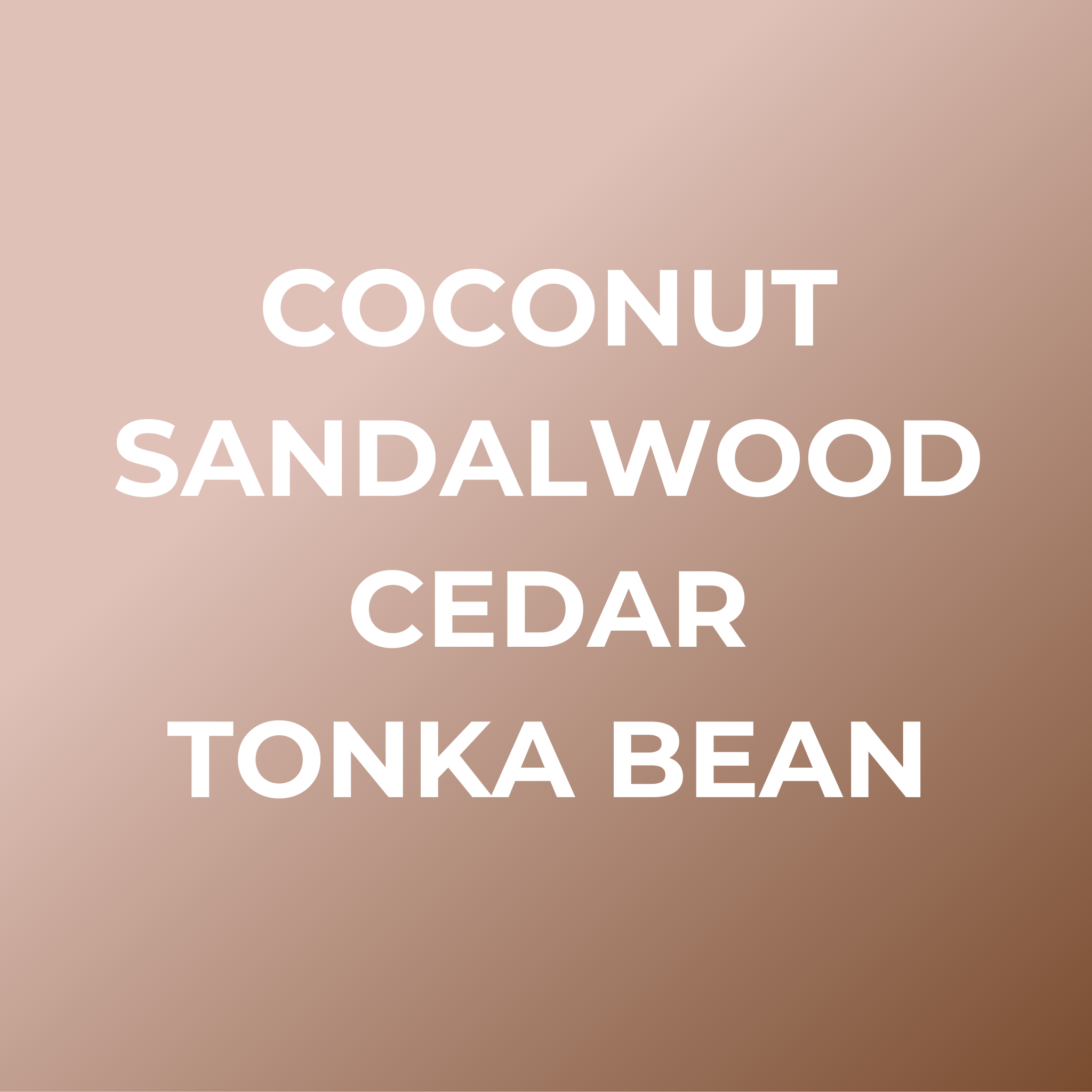 Surf Shack Car Freshener