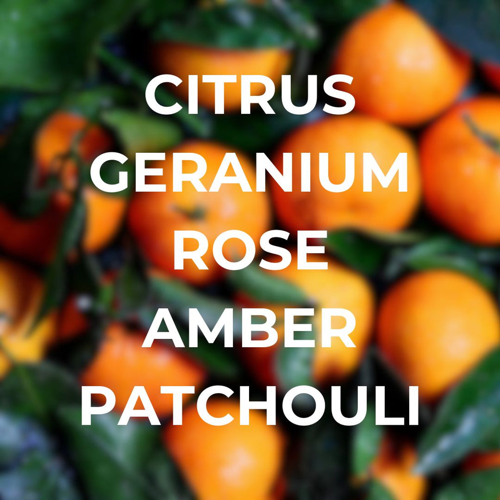 Night at the Disco Car Freshener