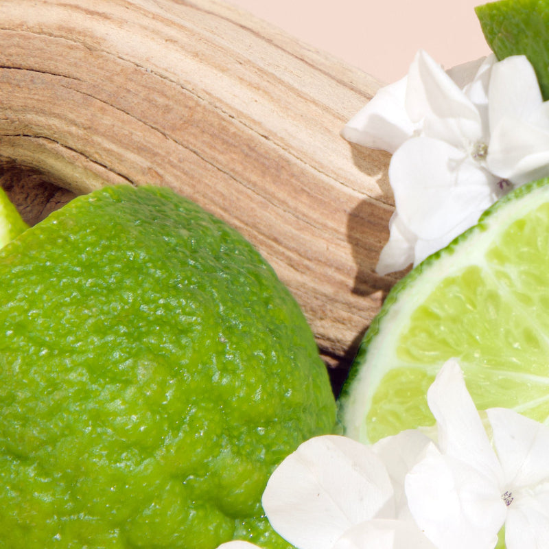 Bohemia Car Freshener