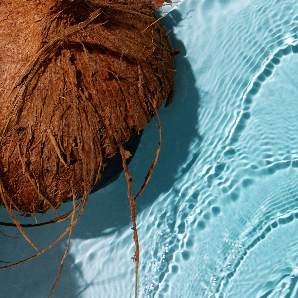 Pool Boy Body & Hair Oil