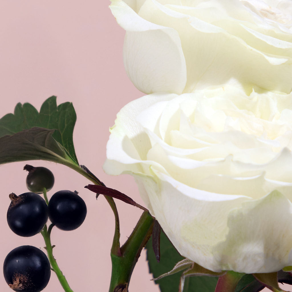 Floral Interior Spray