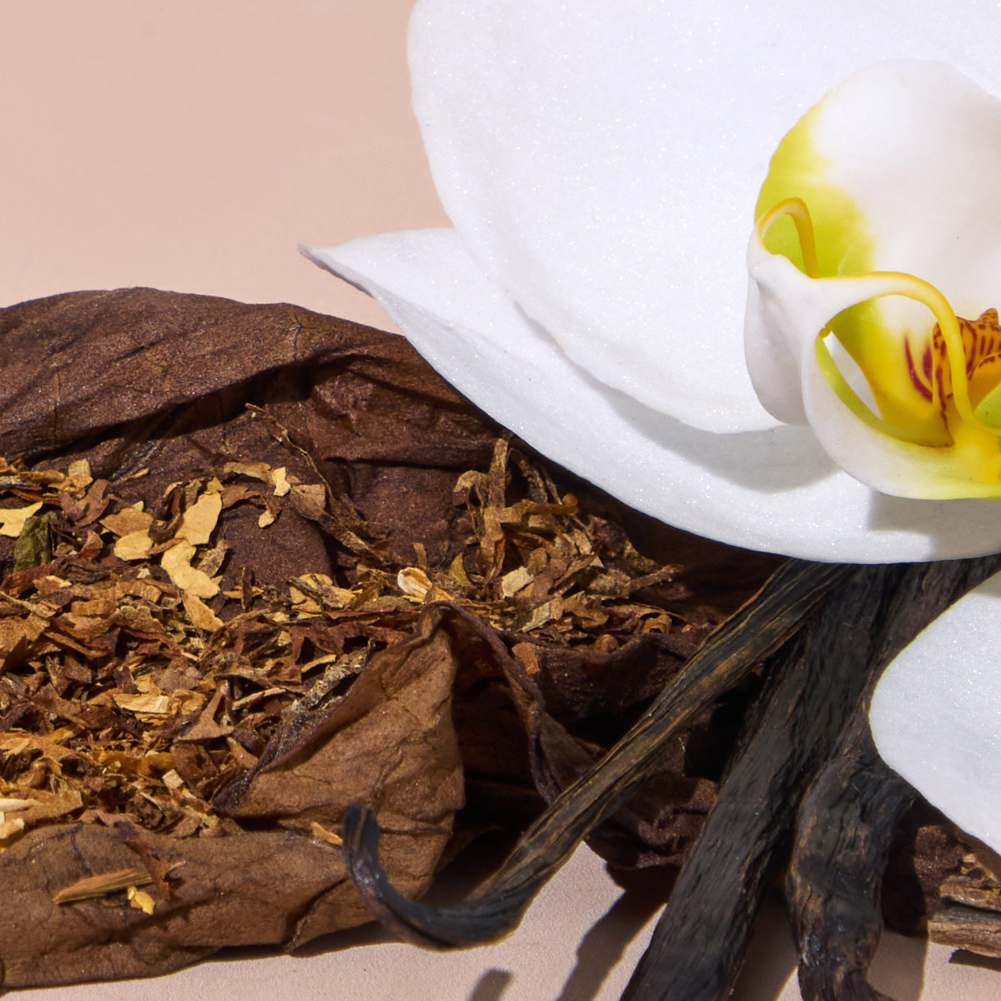 Man Cave Car Freshener