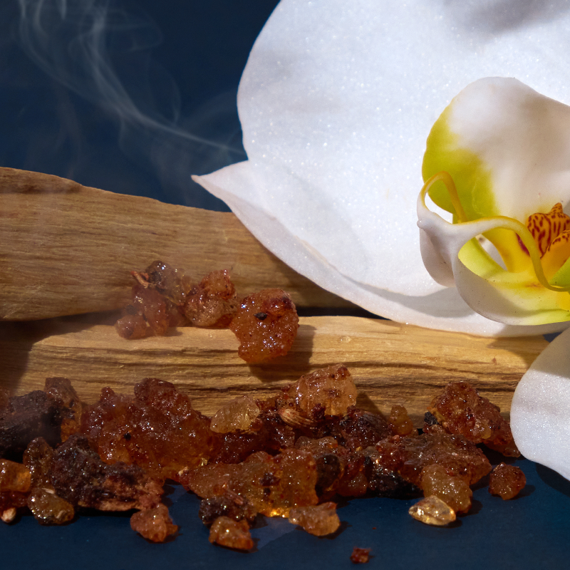 Night at the Disco Car Freshener