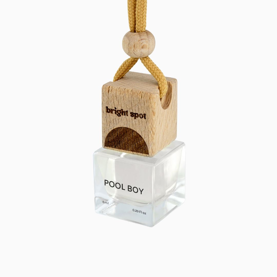Pool Boy Car Freshener