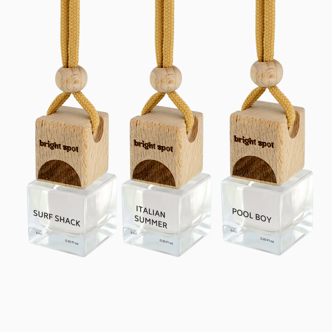 SummerCar Freshener set