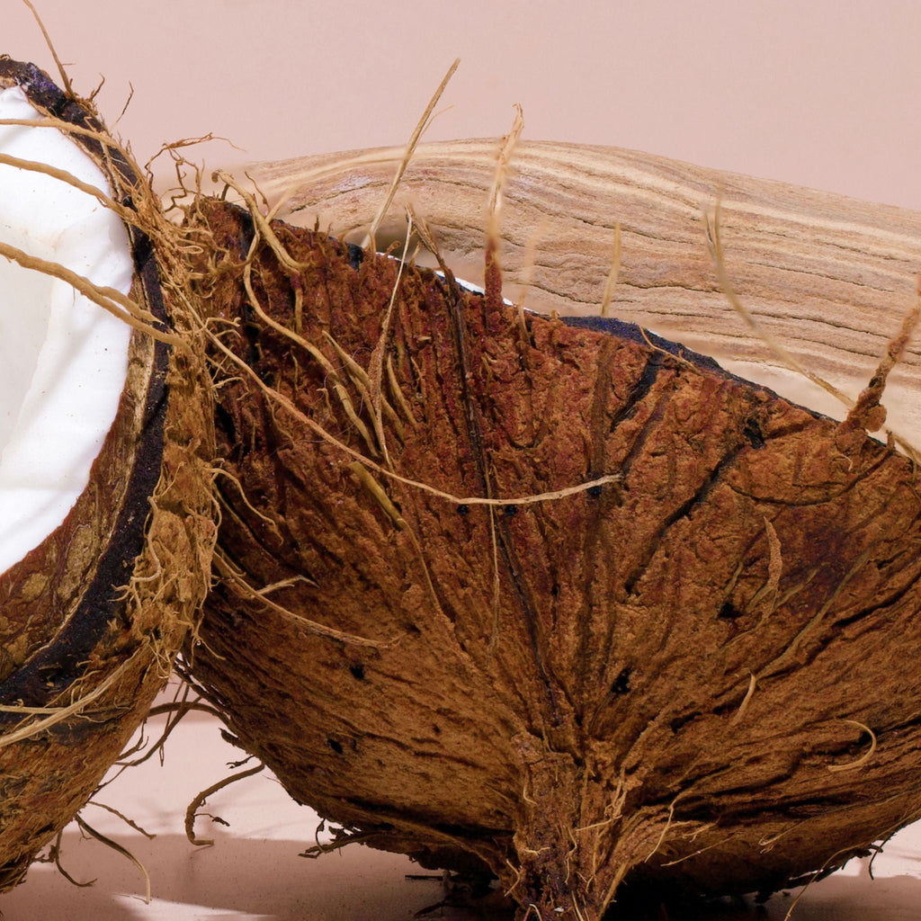 Surf Shack Car Freshener